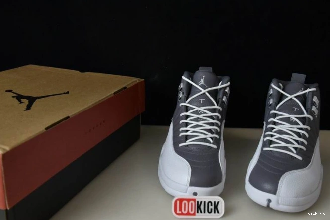 Rep MAX 12 JORDAN CT8025-610 STEALTH AIR 0711